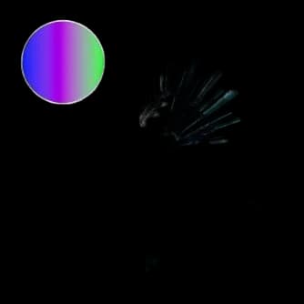 Maertz PLA Silk Tri Color Blue-Purple-Green 1.75 mm 1.000 g